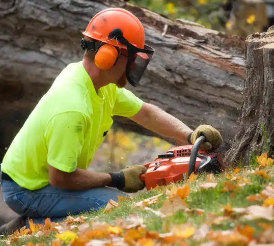 tree services Magnolia